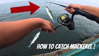 The Best Way To Catch Mackerel SHARK CAUGHT Redondo Beach Pier [upl. by Goda]