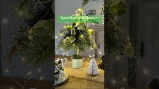 Tannenbaum schnell selber binden diy christmas weihnachten christmastree xmas [upl. by Beichner784]