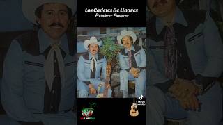 Los Cadetes De Linares Pistoleros Famosos [upl. by Sverre616]