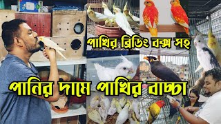 লোনার পাখি নিবাসে পৃথিবীর সব আকর্ষণীয় পাখি  Cockatiel bird baby low price  Bird price bd [upl. by Ahtan]