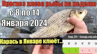 Прогноз клева рыбы на неделю с 8 по 14 Января 2024  Лунный Календарь рыбака январь 2024 [upl. by Analeh]