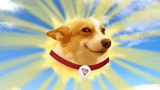 sundog mining platform 🔥 start doge mining and earn free airdrops 🔥 [upl. by Israeli]