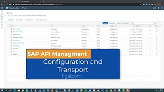 SAP API management transport process [upl. by Etteiram]