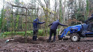 Completing the espalier walled garden now to fill it [upl. by Uah515]