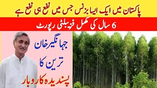 Trees Farming Documentary  Sufaida Farming in Pakistan [upl. by Liahus]