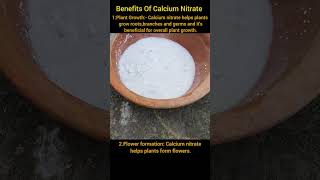 How to make calcium Nitrate and Benefits of Calcium Nitrate in plants [upl. by Kreager]