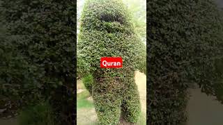 quran 85 Surah BUROOJ islam 28 November 2024 [upl. by Rehpotirhc]