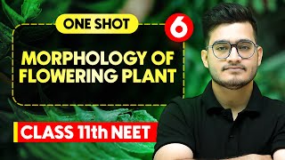 MORPHOLOGY OF FLOWERING PLANTS  Complete Chapter in One Video  ConceptsPYQs  Class 11th NEET [upl. by Ariada]