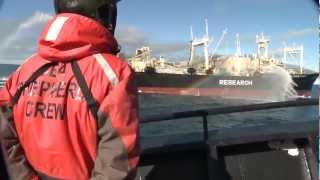 Bob Barker Encounter with Yushin Maru 2 Attempting to Transfer Poached Whale to Nisshin Maru [upl. by Biggs]