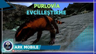 PURLOVİA EVCİLLEŞTİRMEARK MOBILE BÖLÜM 57 [upl. by Jeffers814]