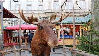 Weihnachtsmarkt in Kassel Gang über den Königsplatz und Friedrichsplatz [upl. by Assilana]