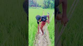 subscribe foryou foryoupage bangladesh support trend trending trendingshorts trendingvideo [upl. by Nam]