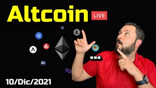 BCD Altcoin Live quotDiciembre 10quot [upl. by Ailene]