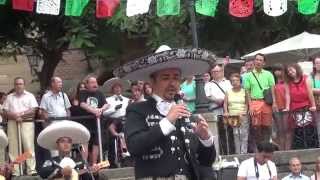 Mariachis en Barcelona La Malagueña José González Grito Independencia Mexicana 2014 [upl. by Yvor]