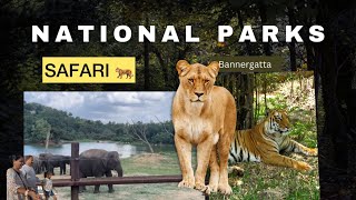 Jungle safari Tiger  Elephants Lion at Bannergatta video [upl. by Mcclelland987]