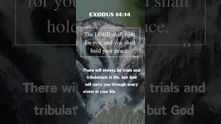 Exodus 1414 The LORD shall fight for you and you shall hold your peace bible jesus exodus14 [upl. by Sakram]