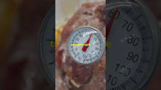 Is SousVide Safe for Your Meat Find Out Now [upl. by Anaher]