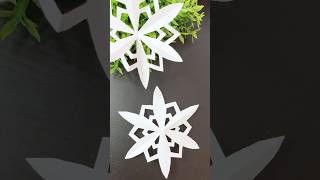 The Unbelievable Art of Paper Cut Snowflakes [upl. by Nyladnewg568]