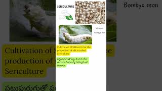 9  Sericulture  Neet biology  Telugu biology videos  neet biology science upsc tspsc [upl. by Yziar910]