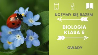 Biologia klasa 6 Owady Uczymy się razem [upl. by Hazlett926]