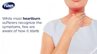 What Causes Heartburn  TUMS [upl. by Aihsela]