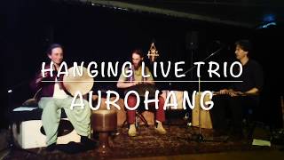 Hanging Live Trio Aurohang [upl. by Aidahs]