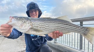 Striper Fishing Secrets Revealed Bay Area STRIPED BASS Fishing [upl. by Nirat369]