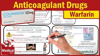 Pharmacology CVS 22 Anticoagulant Drugs  Part 2 Warfarin mechanism of action  Coumadin [upl. by Neelhtakyram]