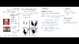 Hypothyroidism Hyperthyroidism Thyroid Storm for the USMLE [upl. by Urbannai]