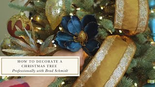 How to Decorate a Christmas Tree Professionally with Brad Schmidt [upl. by Debbi]