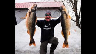 Second Giant 13lb walleye caught Ice Fishing in the same day at Chaumont Bay NY [upl. by Su]