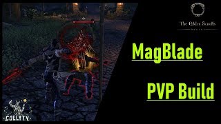 Magblade PVP Build  Shadows Image [upl. by Imefulo]