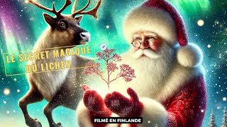 Le Père Noël Révèle le Secret Magique du Lichen [upl. by Hesther577]