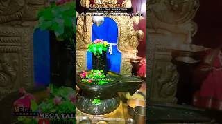 Pradosham பிரதோசம் 29102024  Shiva temple  Bangalore  tamil omnamahshivaya [upl. by Nillad881]