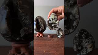 Septarian Egg Mighty Dragon Stone Druzy Geode [upl. by Nachison]