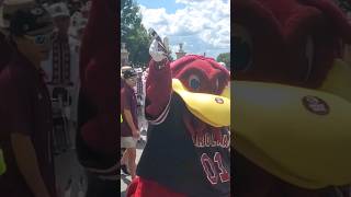 Cocky leads Gamecocks during 1st Garnet and Black Walk of 2024 [upl. by Tolecnal]