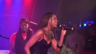 ALAINE live in Vienna 20140922 [upl. by Armillda]