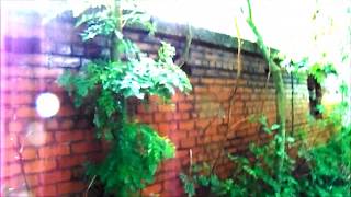 WW2 Air Raid Shelter Chadderton Greater Manchester UK [upl. by Benton]