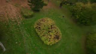 Kalisz Park na Majkowie  chillin in the park  fpv  oneshot dji action 2 [upl. by Nitsyrc]