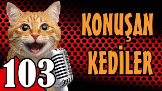 Konuşan Kediler 103  En Komik Kedi Videoları  Pati TV [upl. by Oicneserc]