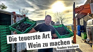 Die teuerste Art Wein zu machen Trauben trocknen  mit Herzblut zum Wein Vlog 374 [upl. by Eramat]