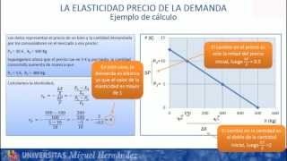 umh1184 201213 Lec005 Las elasticidades [upl. by Grosmark]