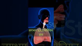 Breathe Better Yoga for Lung Health [upl. by Meibers]