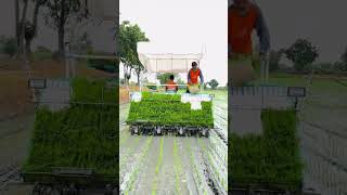 rice planting machine [upl. by Islaen]