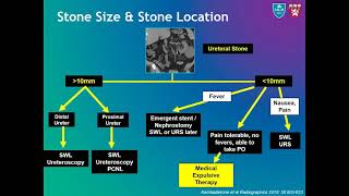 Imaging of renal stone [upl. by Dirk396]