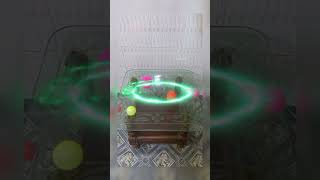 Ball dropping Fun on table lovely game to play relaxing [upl. by Sitnik730]