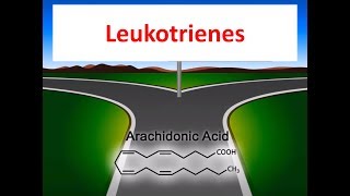 Leukotrienes in 2 minutes  Production and Inhibitor drugs [upl. by Baumann]