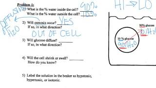 Diffusion Osmosis Practice Problems [upl. by Rapsac170]