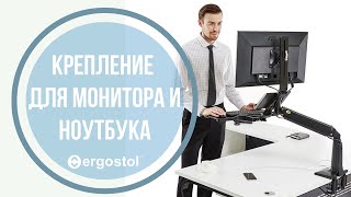 Крепление для монитора или ноутбука от ergostolru [upl. by Monahon]