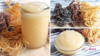 How To Make SEA MOSS GEL In 3 Easy Steps [upl. by Keefe]